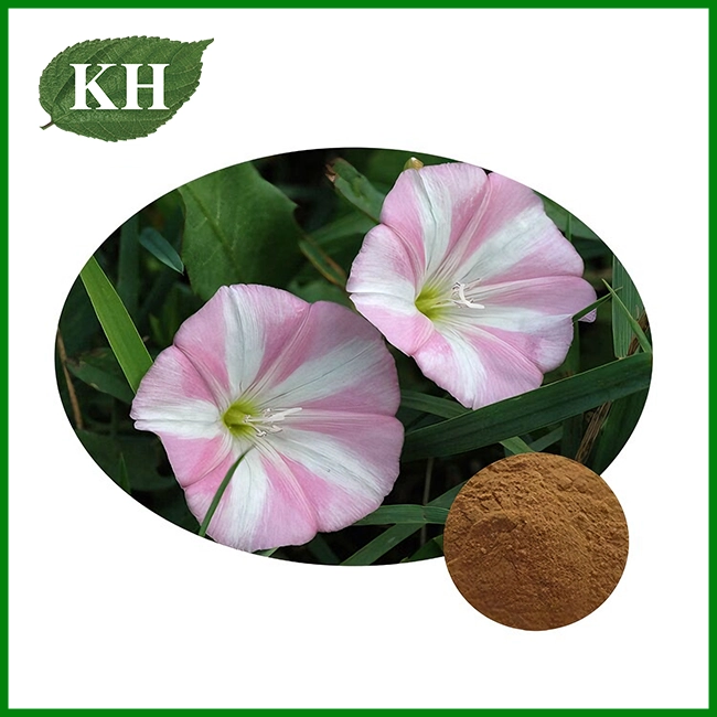 Field Bindweed Extract